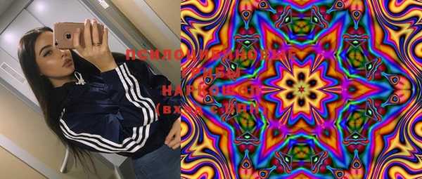 МДПВ Вязники