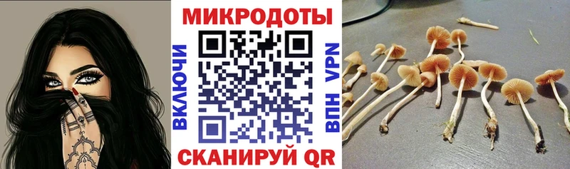где продают   Москва  Псилоцибиновые грибы Magic Shrooms 